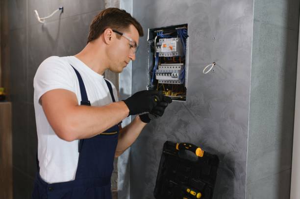 Best Residential Electrician Services  in Treasure Island, FL